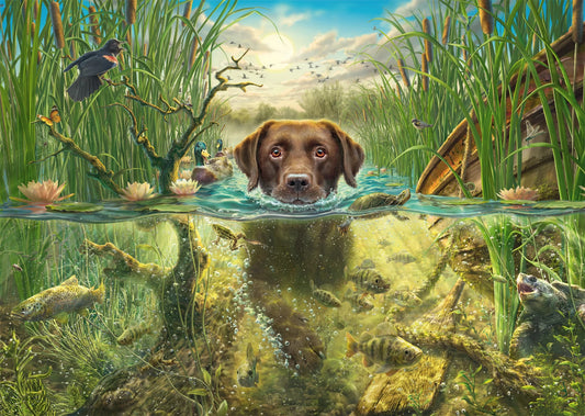 LABRADOR MARRONE NELL'ACQUA FRESCA 1000 PEZZI