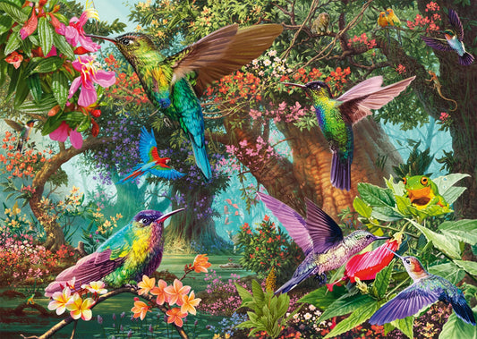 HUMMINGBIRD COLOR PLAY 1000 PEZZI