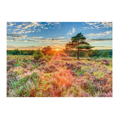 BRUGHIERA AL TRAMONTO 1000 PEZZI