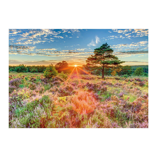 BRUGHIERA AL TRAMONTO 1000 PEZZI