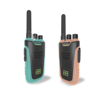 WALKIE-TALKIE AVEC LAMPE DE POCHE, BLEU/ROSE