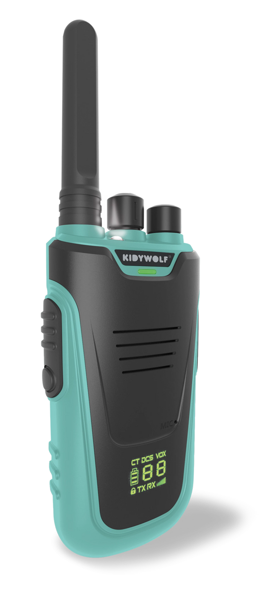 WALKIE-TALKIE CON TORCIA, AZZURRO/ROSA