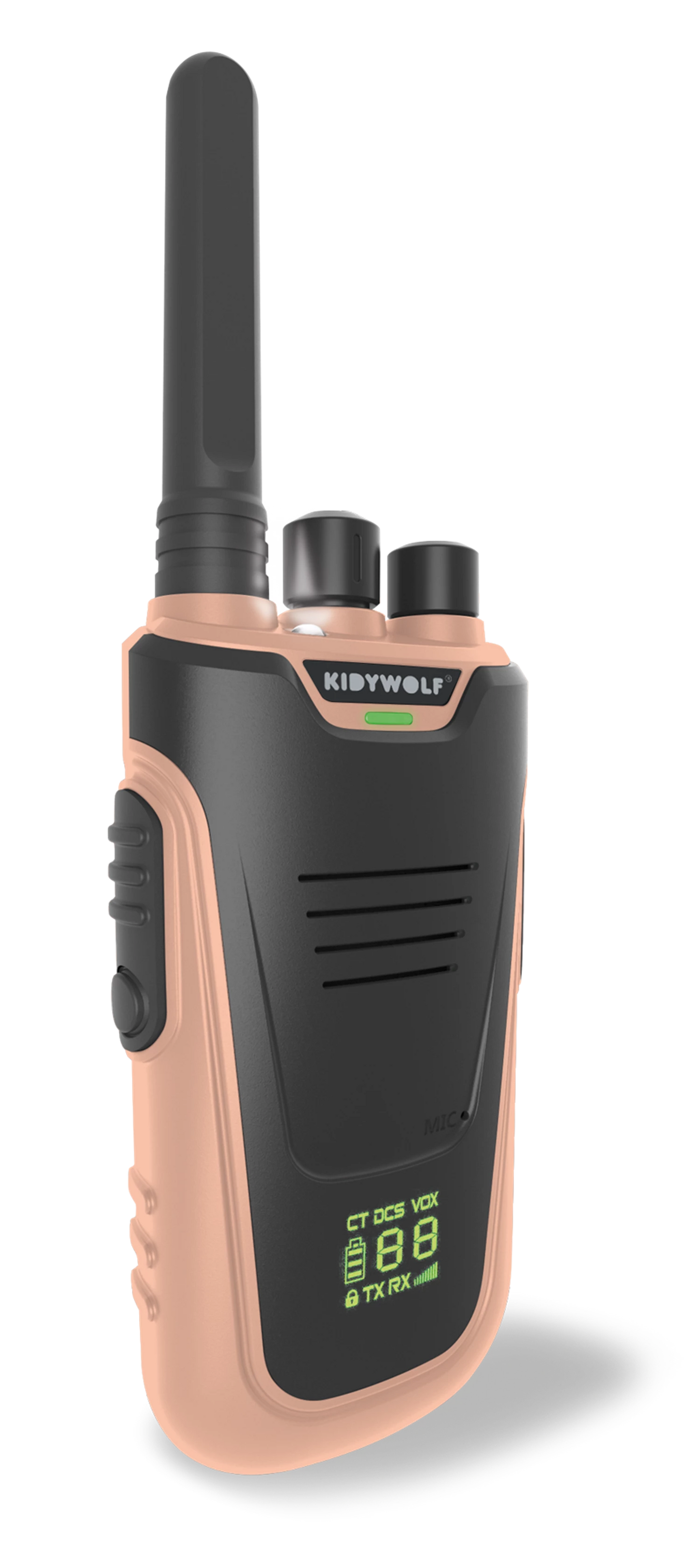 WALKIE-TALKIE AVEC LAMPE DE POCHE, BLEU/ROSE