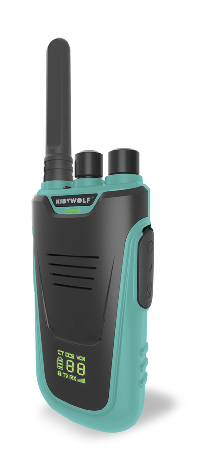 WALKIE-TALKIE AVEC LAMPE DE POCHE, BLEU/ROSE