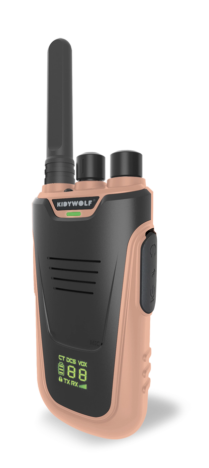 WALKIE-TALKIE AVEC LAMPE DE POCHE, BLEU/ROSE