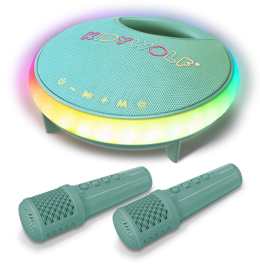 ALTOPARLANTE KARAOKE BLUETOOTH
