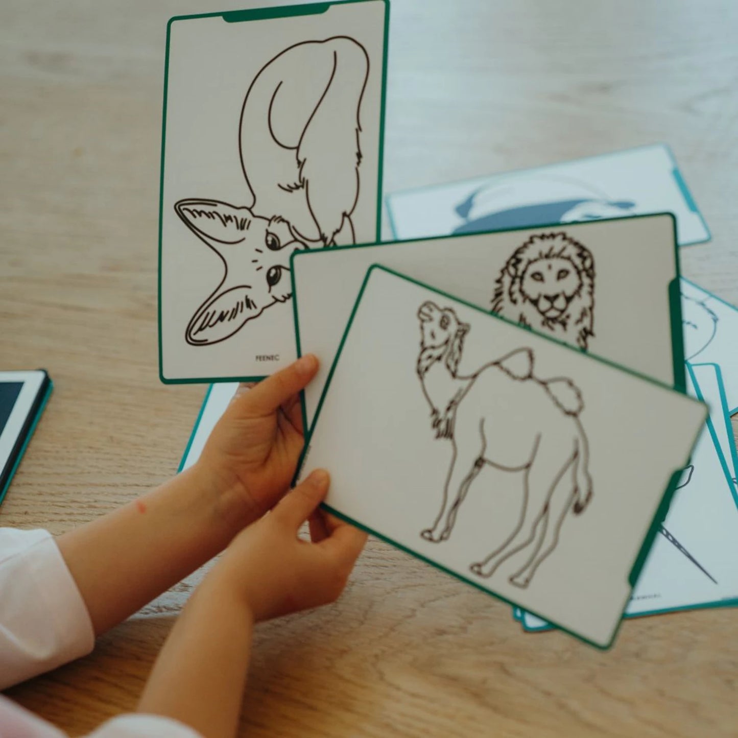 NACHFÜLLPACKUNG WILDE TIERE UND PIRATEN FÜR DESIGN BOARD
