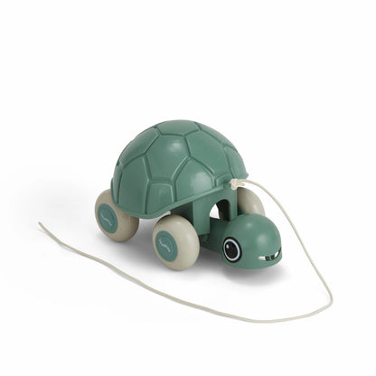 TARTARUGA