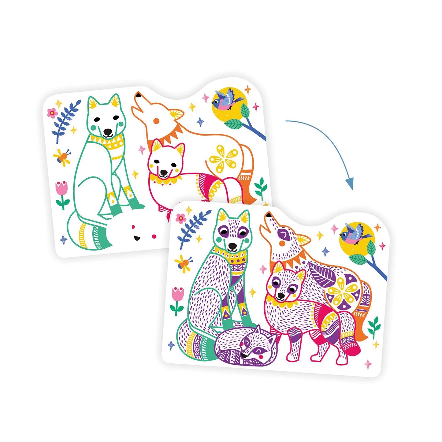 DISEGNI DA COLORARE COLORI NASCOSTI FAMIGLIA FORESTA