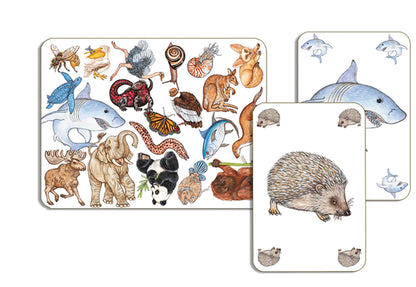 GIOCO DI CARTE ZANIMATCH (MULTILINGUA)