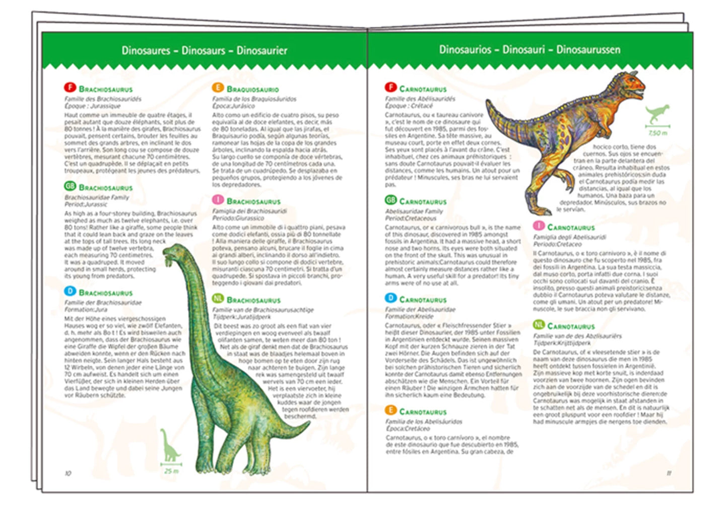 DINOSAURIER-PUZZLE 100 TEILE (INKL. HEFT)