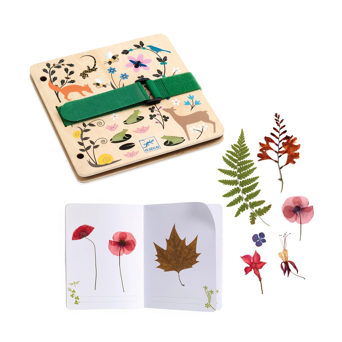 BASTELN – BOTANISCHER PFLANZENDRUCK