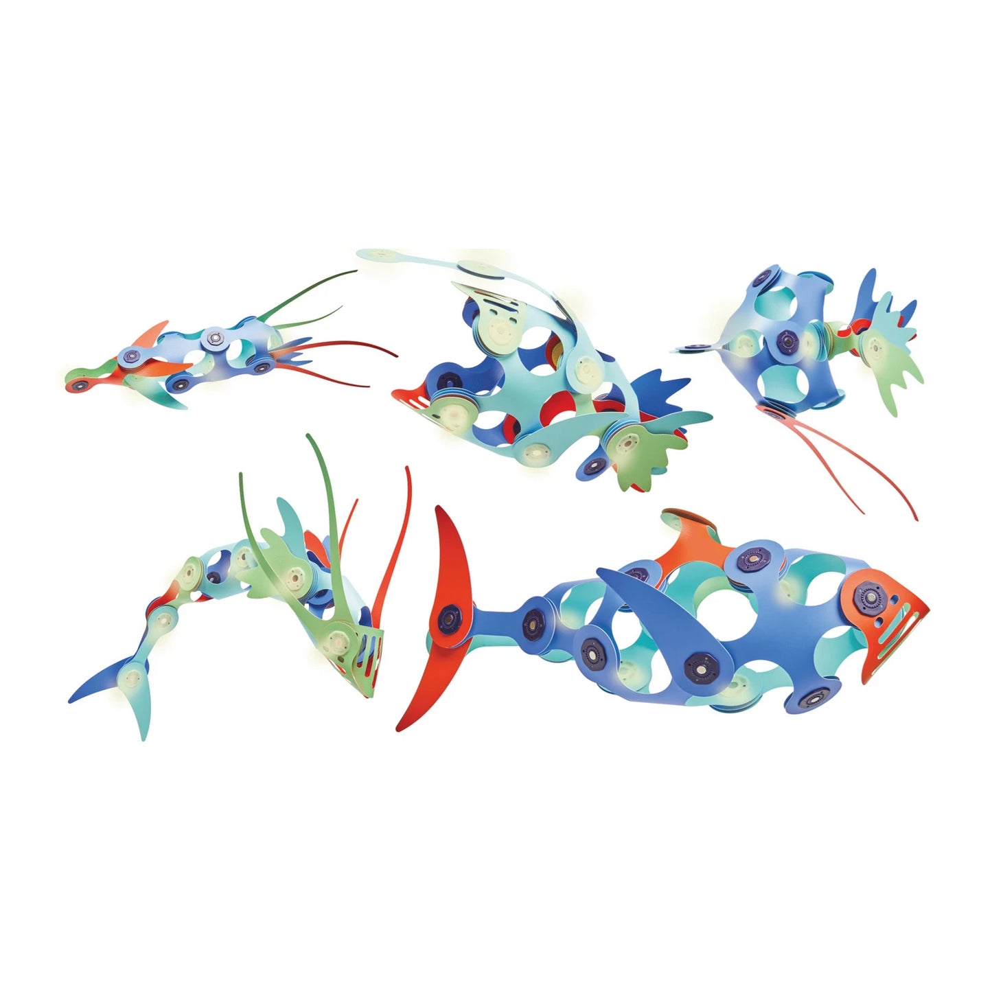 CREATURE DELL'OCEANO