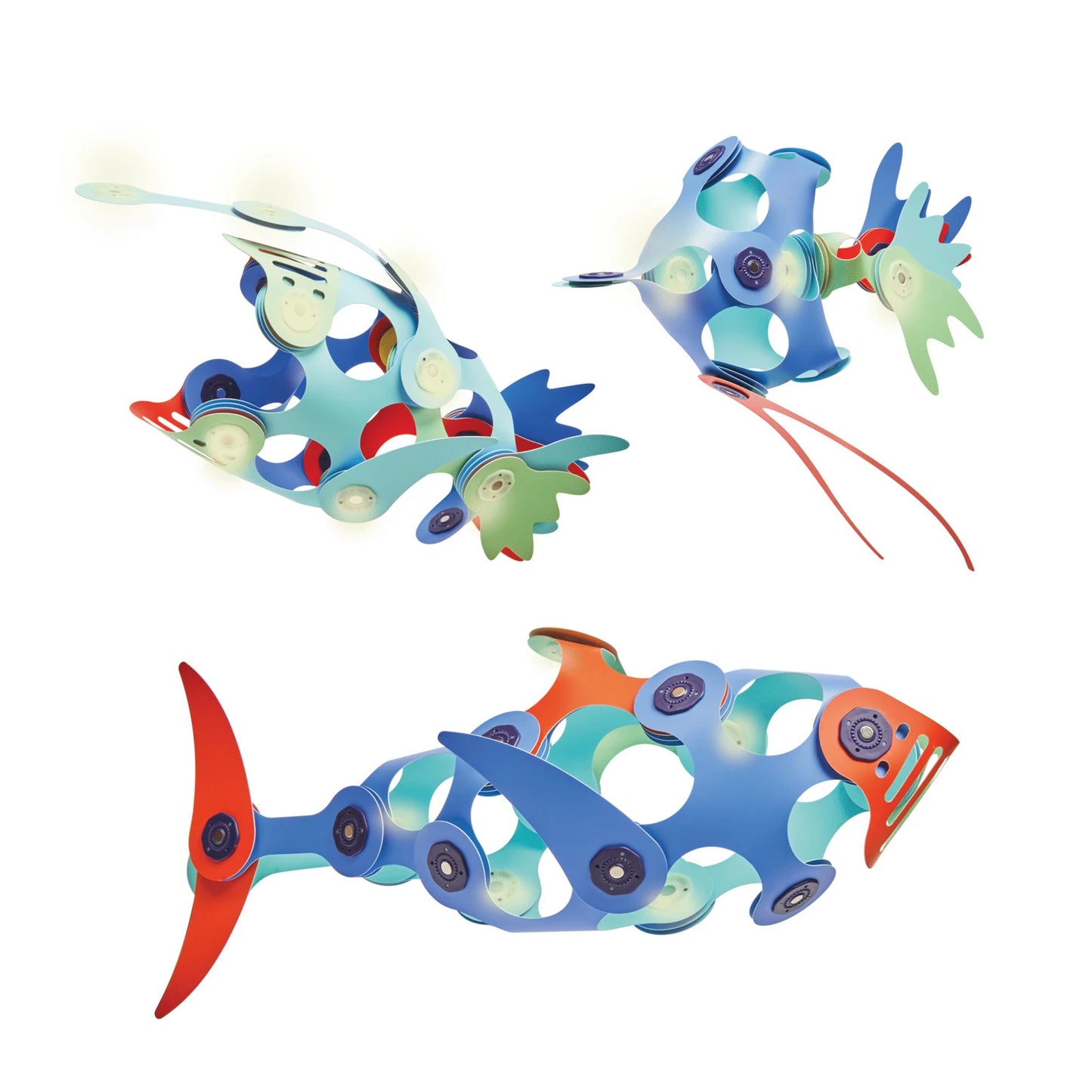 CREATURE DELL'OCEANO