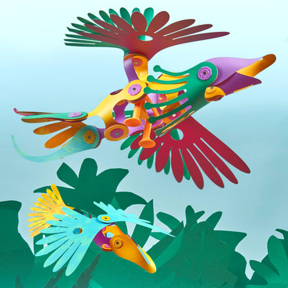 OISEAUX TROPICAUX