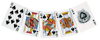 FICHES DA POKER - CUSTODIA IN ALLUMINIO, 300 FICHES