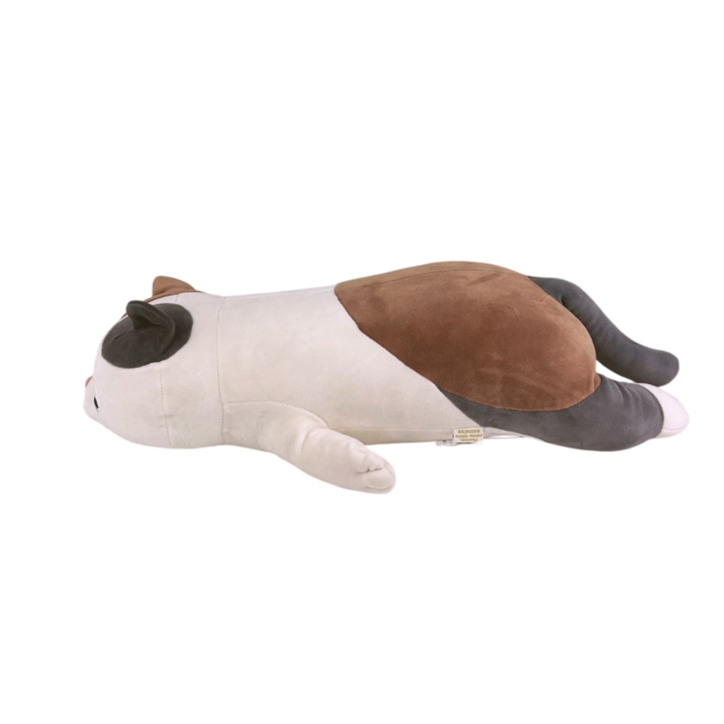 KATZE YUZU L 50CM
