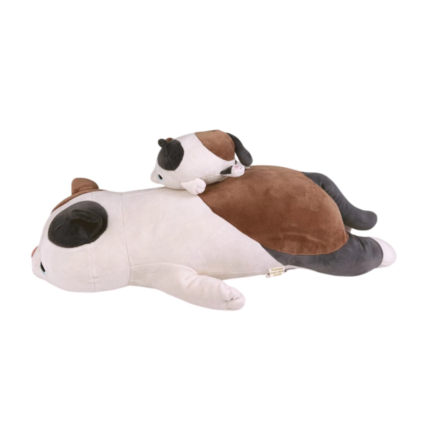 YUZU CHAT S 11CM
