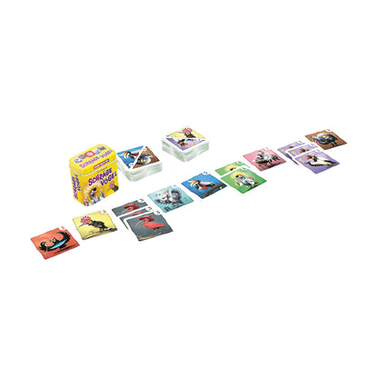 ÉTRANGERS (D)