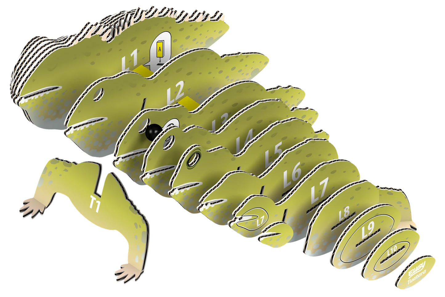 3D-BASTELSET TUATARA