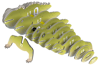 3D-BASTELSET TUATARA