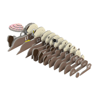 3D-Bastelset Seeotter