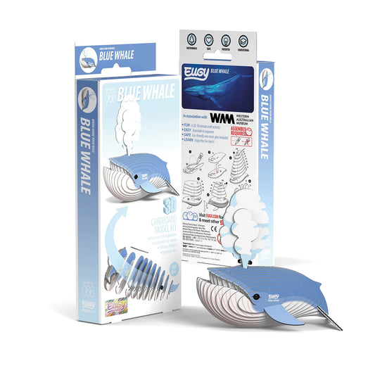 KIT ARTIGIANALE 3D BALENOTTERA AZZURRA