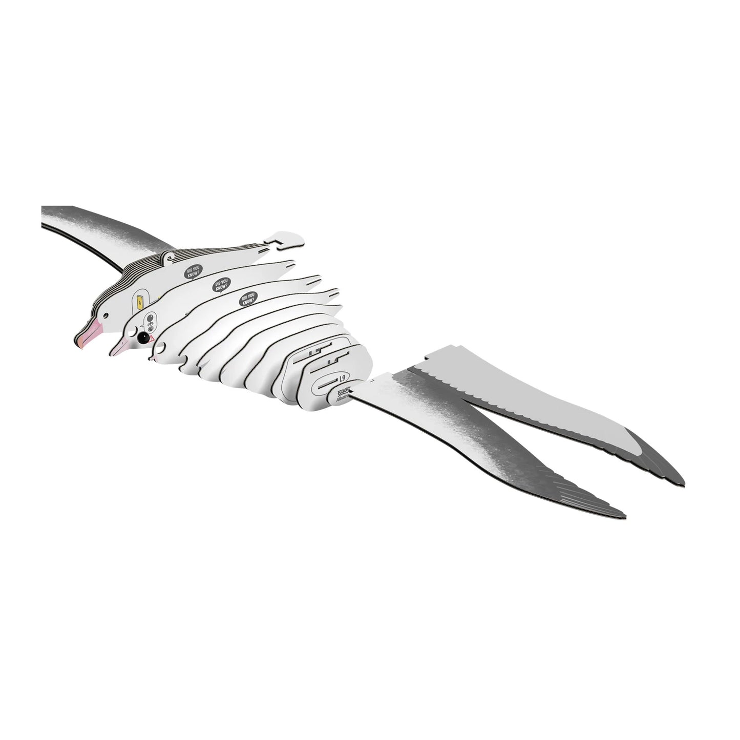 BASTELSET 3D KÖNIGSALBATROS