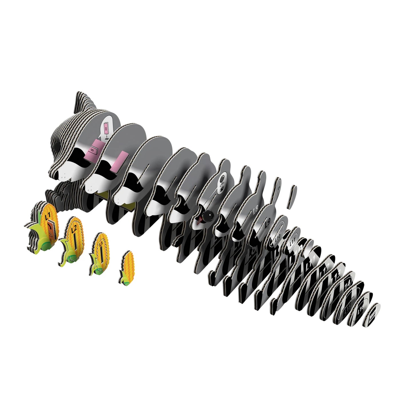 3D-Bastelset Waschbär