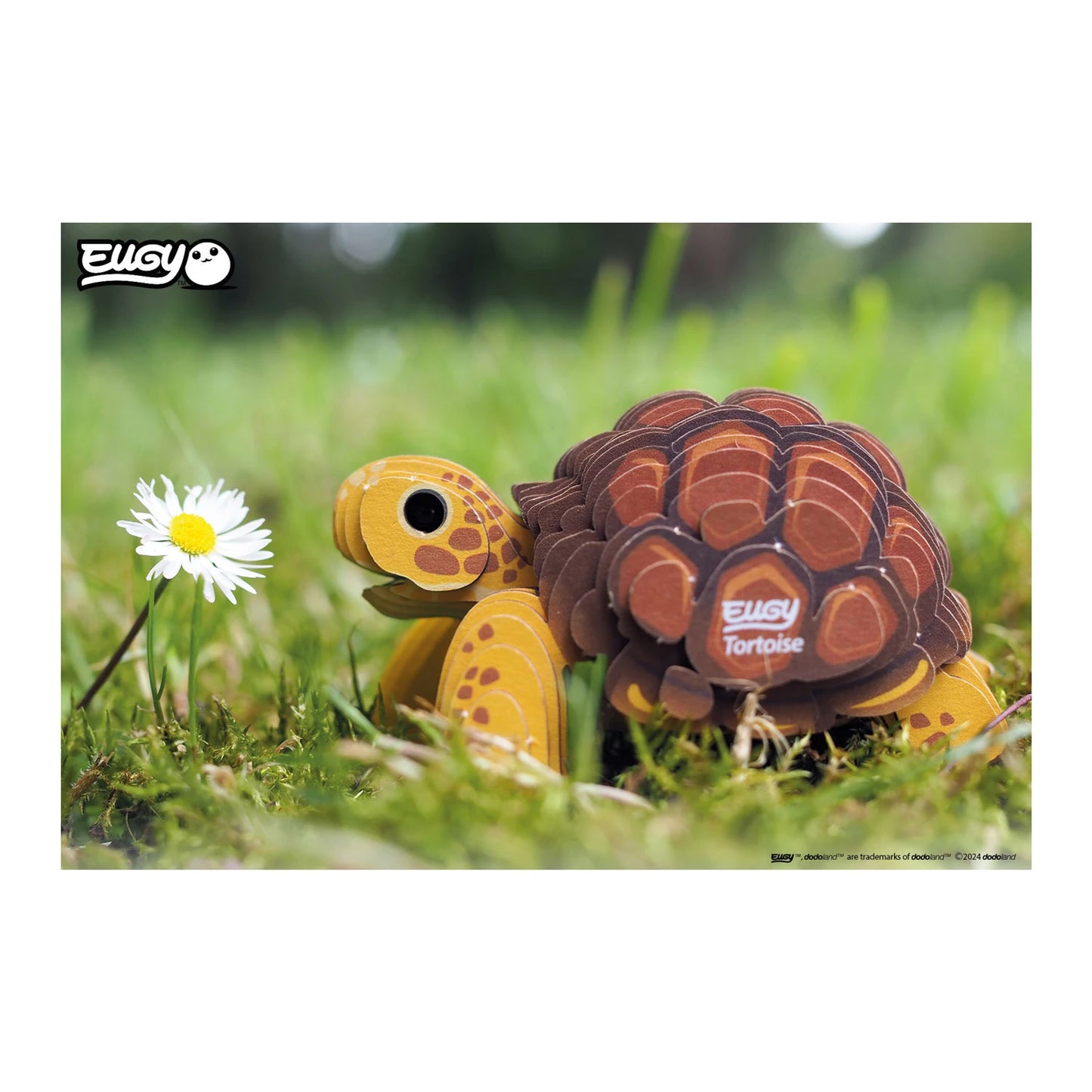3D-Bastelset Landschildkröte