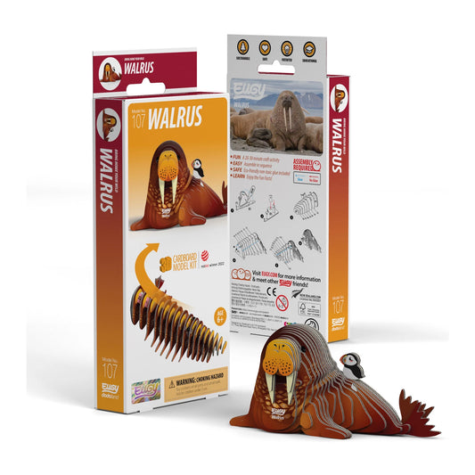 KIT ARTIGIANALE 3D PER TRICHECHI