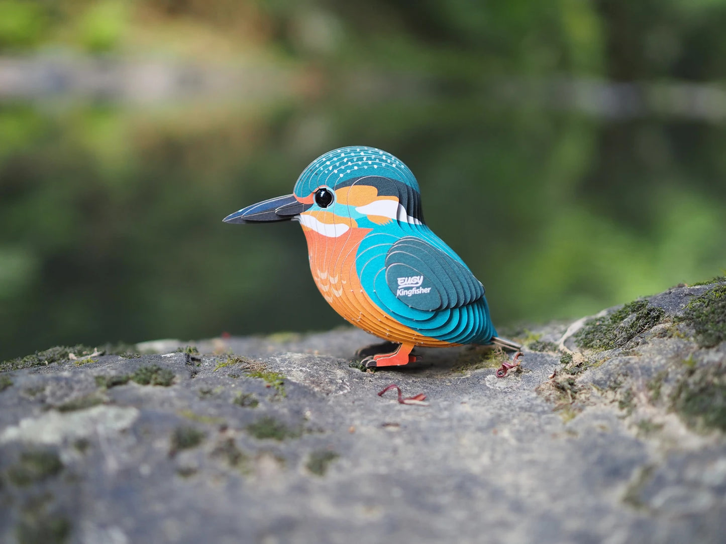 3D-BASTELSET EISVOGEL