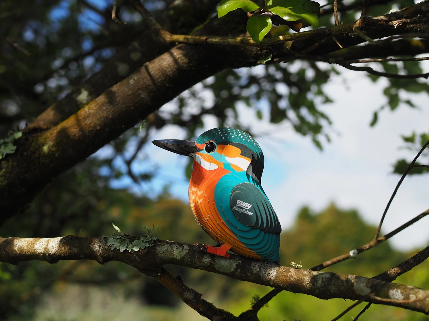 3D-BASTELSET EISVOGEL