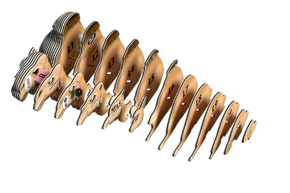 3D-BASTELSET DROMEDAR