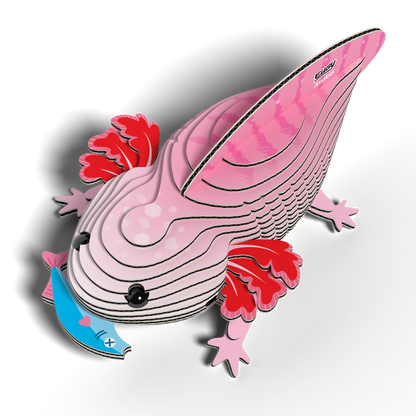 3D-BASTELSET AXOLOTL