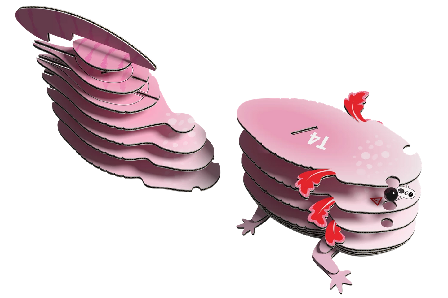 3D-BASTELSET AXOLOTL