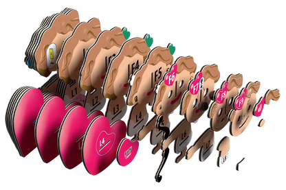 3D BASTELSET AMOR