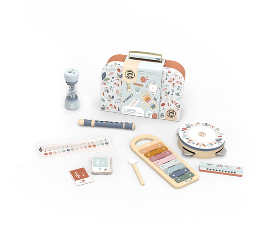 SET MUSICALE CON 5 STRUMENTI