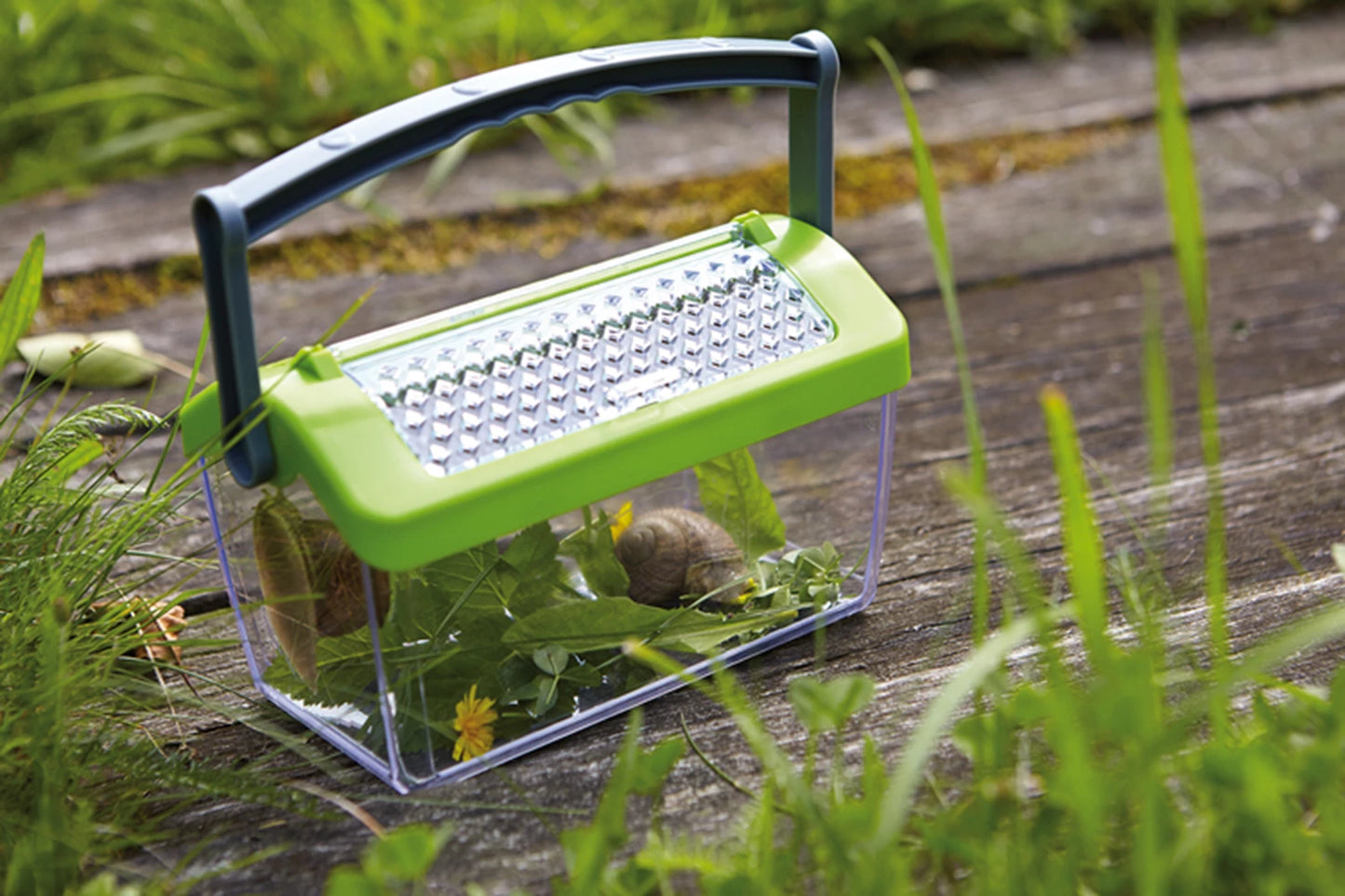TERRA KIDS INSEKTENBOX
