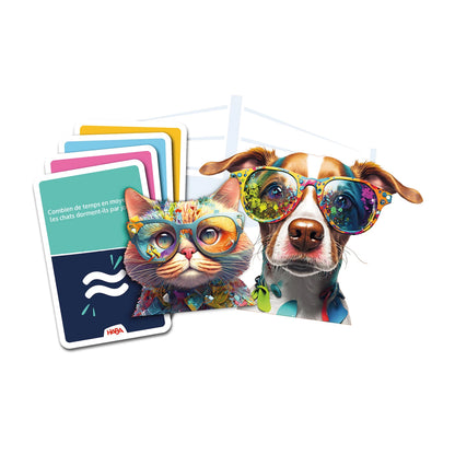 QUIZ-DUELLE: CHAT GEGEN HUND