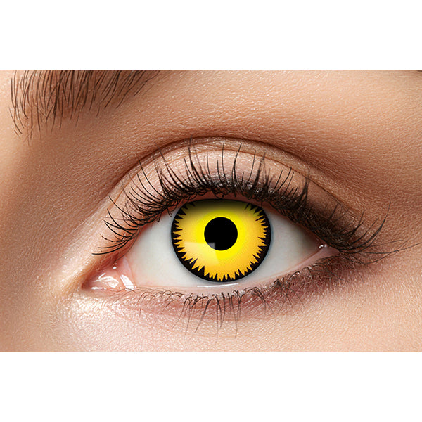 LENTILLES TRIMESTRIELLES LEO 🔶