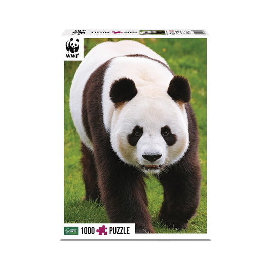 PANDA 1000 PEZZI