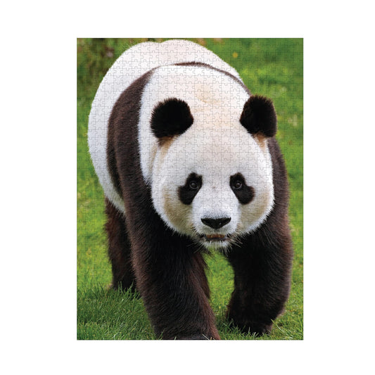PANDA 1000 PEZZI