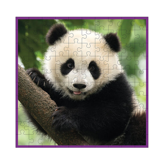 PANDA 100 PEZZI
