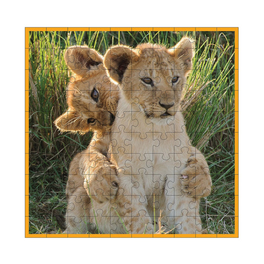 CUCCIOLI DI LEONE 100 PEZZI