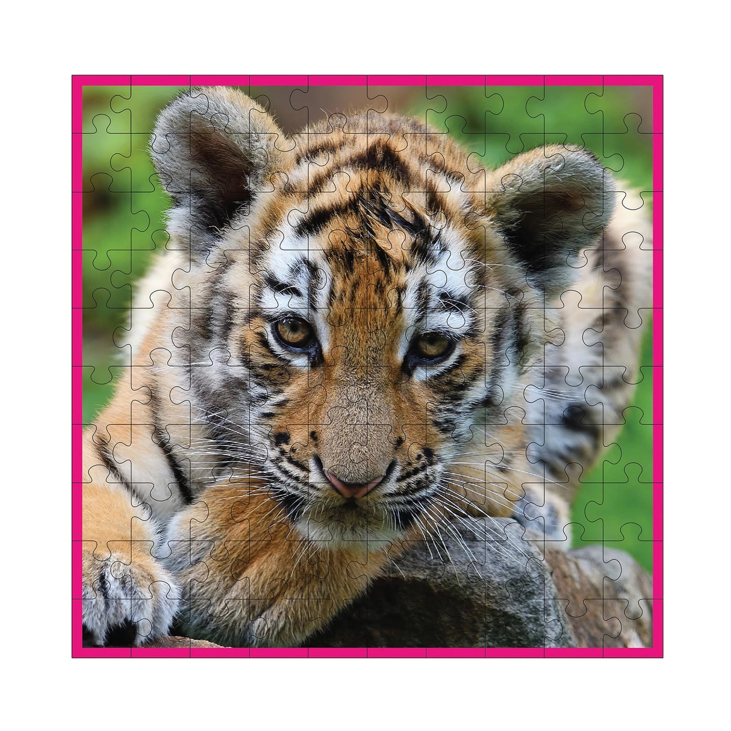 TIGERBABY 100 TEILE