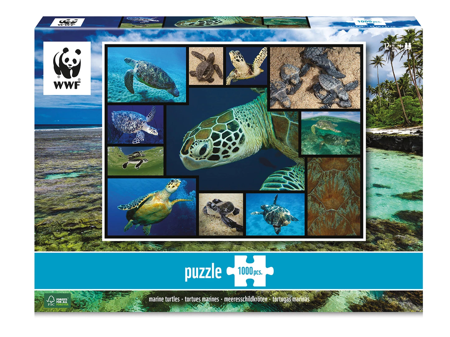 TORTUES DE MER 1000 PIÈCES