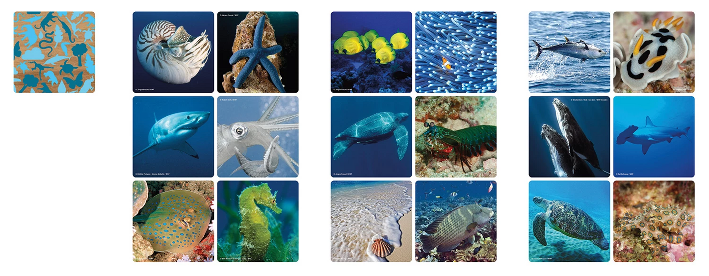 MÉMENTO SUB-AQUATIQUE
