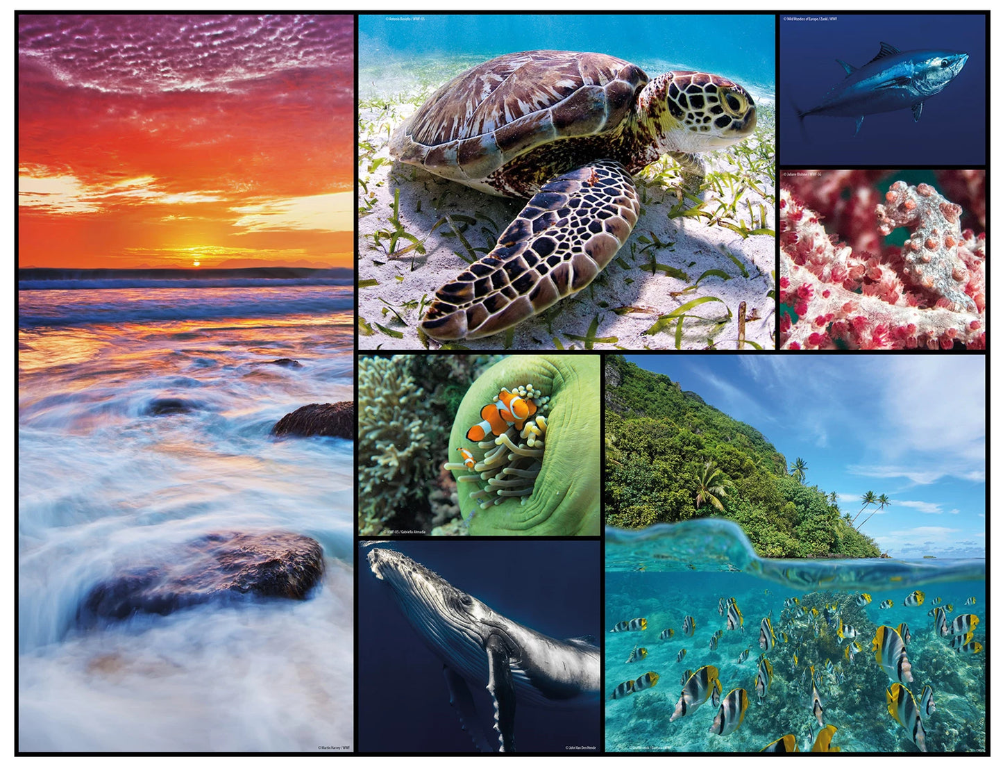 PUZZLE DEL FONDALE MARINO, 48 PEZZI