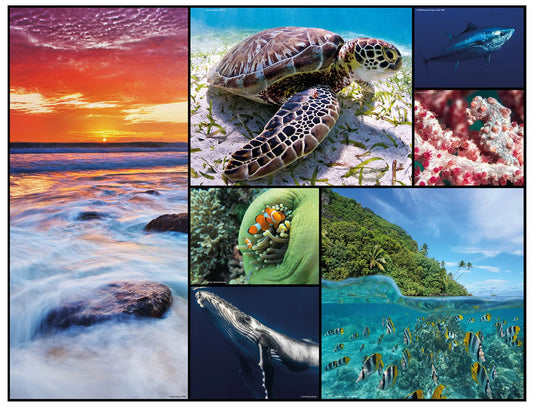 PUZZLE DEL FONDALE MARINO, 48 PEZZI